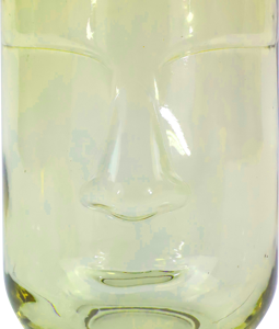 7331 VASE FACE